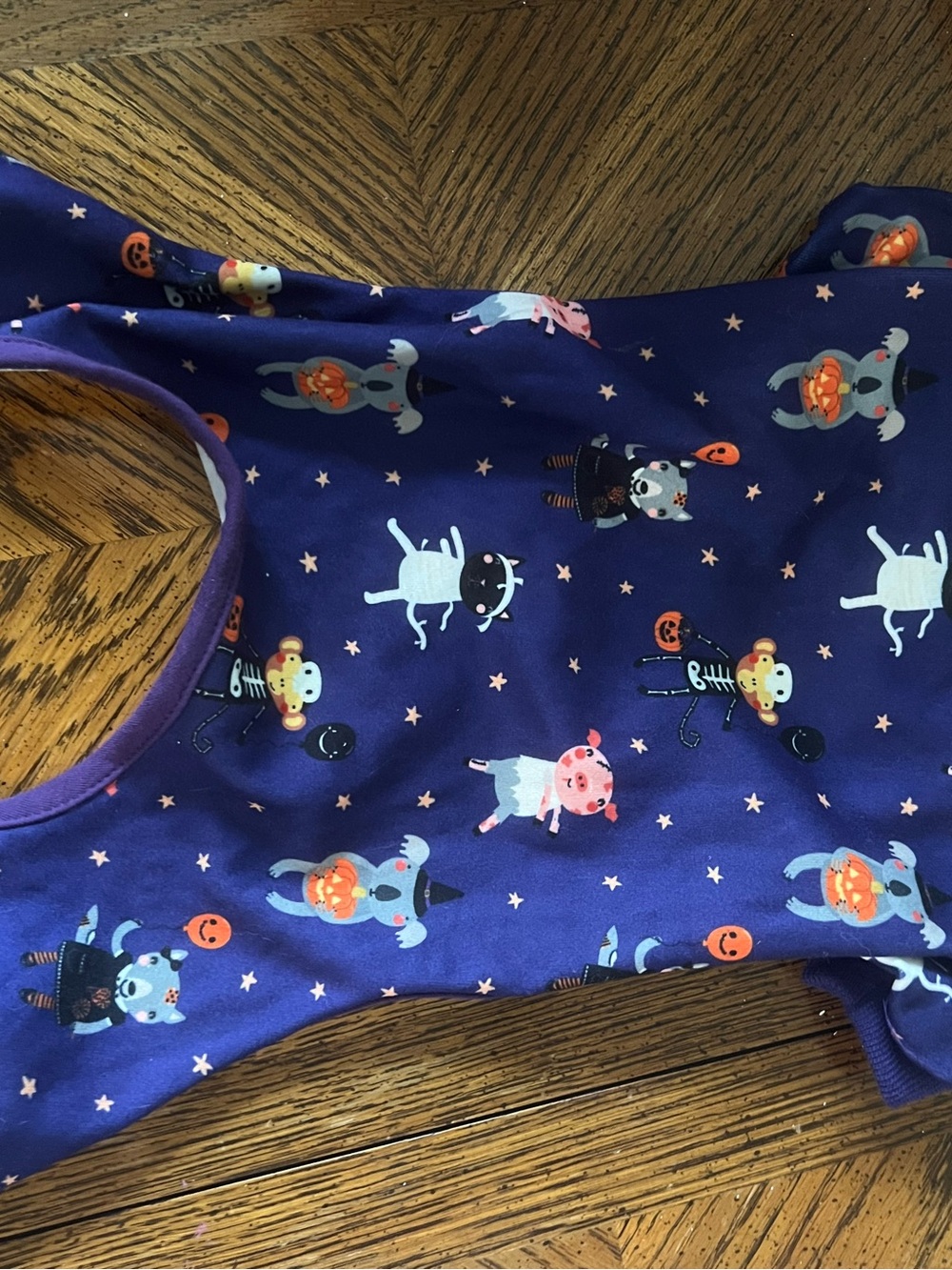 Jessica Simpson Purple Halloween Pet Outfit with Animal Costume Print